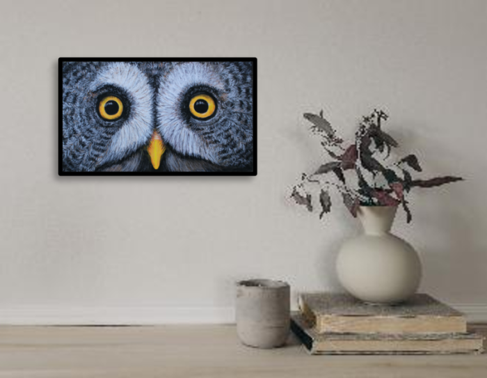 Owl Eyes - Image 2