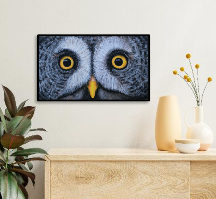 Owl Eyes - Image 4